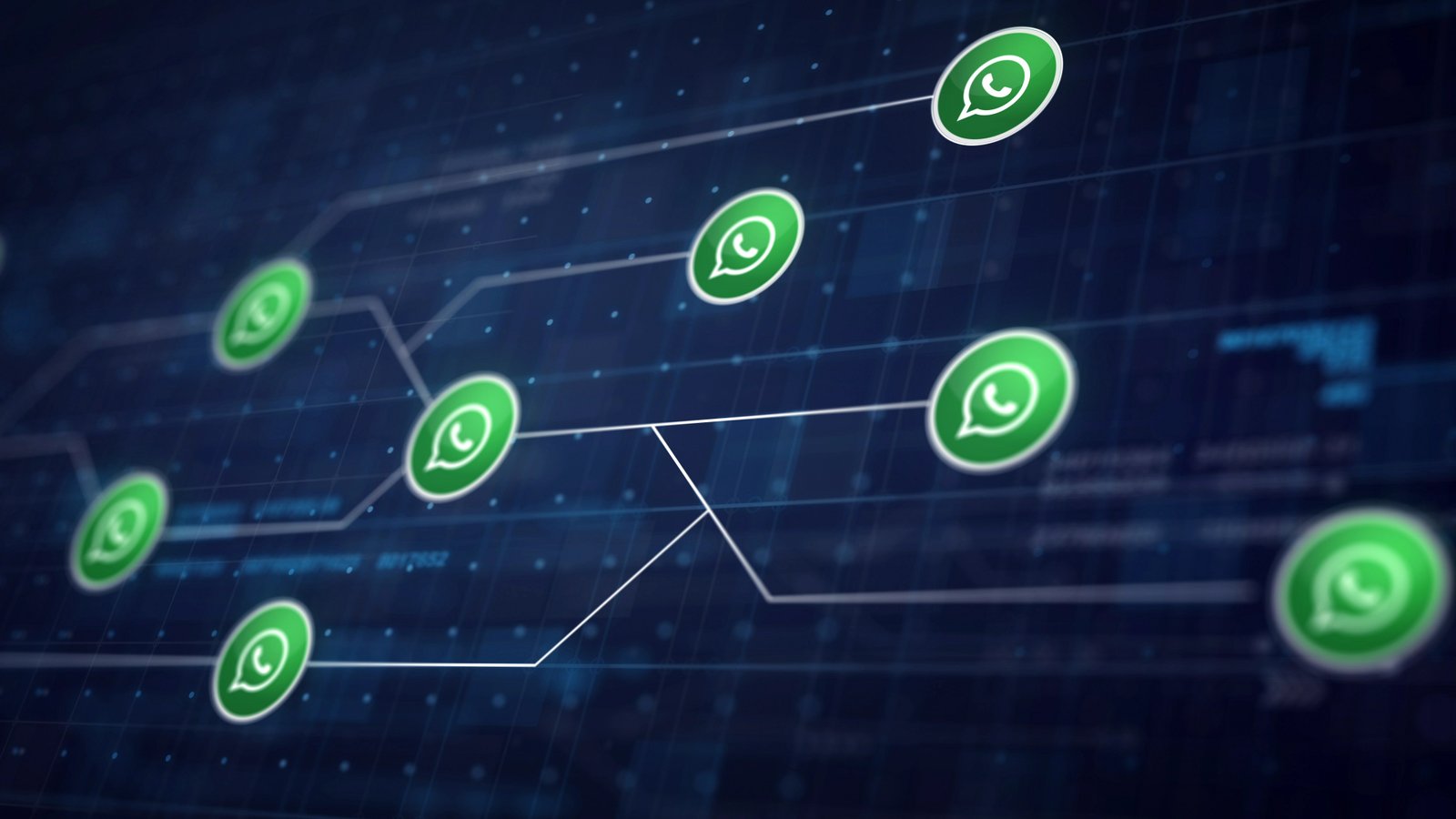 WhatsApp & SMS Marketing Hero
